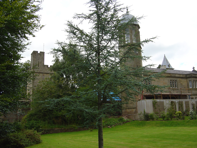 Back of Edmond Castle